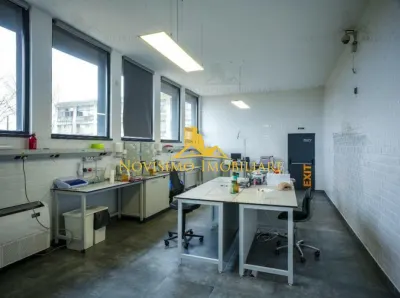 Spațiu industrial Bucov - poza 14