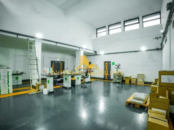 Spațiu industrial Bucov - poza 8
