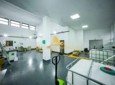 Spațiu industrial Bucov - poza 9