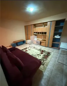 Apartament 1 camera Timișoara - poza 2