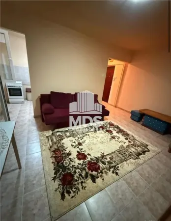Apartament 1 camera Timișoara - poza 3