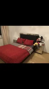 Apartament 3 camere Timișoara - poza 1