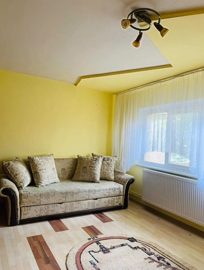 Apartament 2 camere Timișoara - poza 1