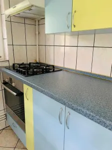 Apartament 2 camere Timișoara - poza 4