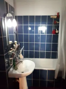 Apartament 2 camere Timișoara - poza 7
