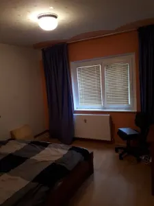Apartament 2 camere Timișoara - poza 8