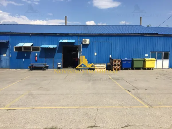 Spațiu industrial Blejoi - poza 2