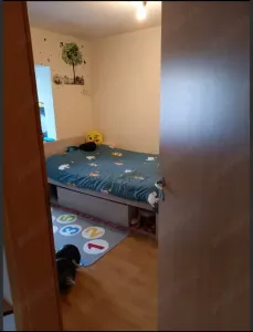 Apartament 3 camere Timișoara - poza 11