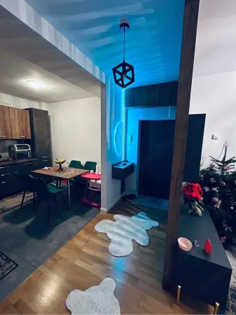 Apartament 2 camere Timișoara - poza 1