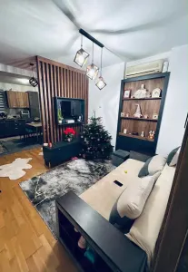 Apartament 2 camere Timișoara - poza 2