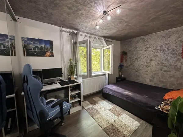 Apartament 2 camere Timișoara - poza 5