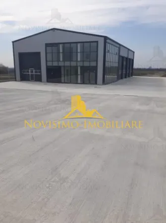 Spațiu industrial Bucov - poza 1