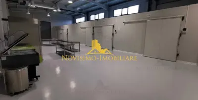 Spațiu industrial Ploiești - poza 2