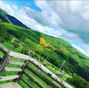 Casă 4 camere Valea Doftanei - poza 3