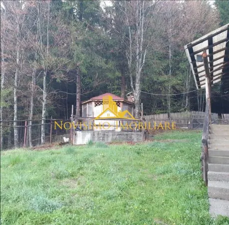 Casă 4 camere Valea Doftanei - poza 6