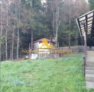 Casă 4 camere Valea Doftanei - poza 6