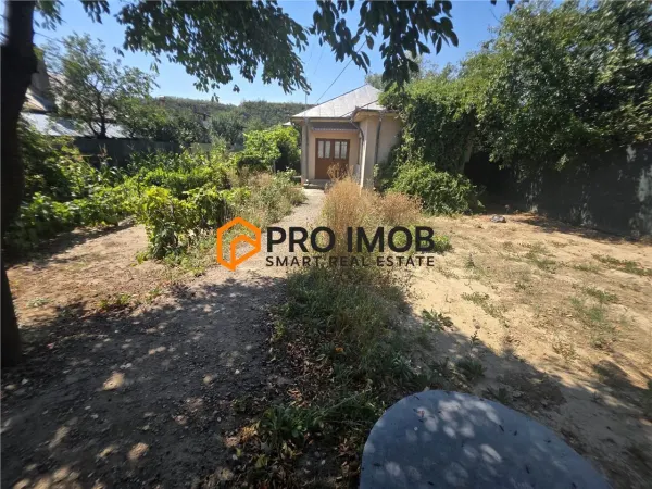 Casă 3 camere Topliceni - poza 2