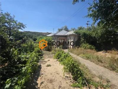 Casă 3 camere Topliceni - poza 13