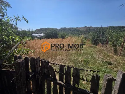 Casă 3 camere Topliceni - poza 14