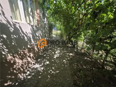Casă 3 camere Topliceni - poza 15