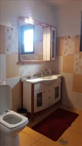 Casă 7 camere Gageni - poza 14