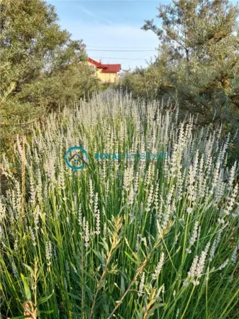 Teren Valea Calugareasca - poza 3