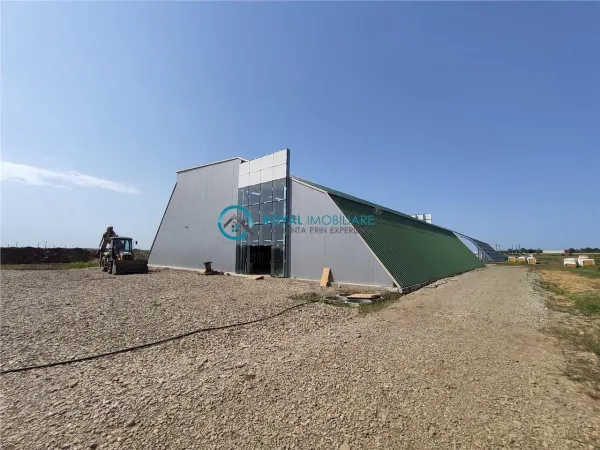 Spațiu industrial Ploiești - poza 1