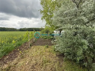 Casă 4 camere Cocorastii Colt - poza 4