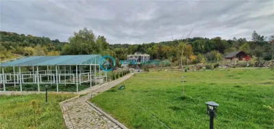 Casă 7 camere Câmpina - poza 19