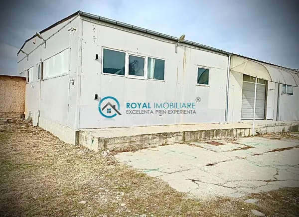 Spațiu industrial Boldesti-Scaeni - poza 1