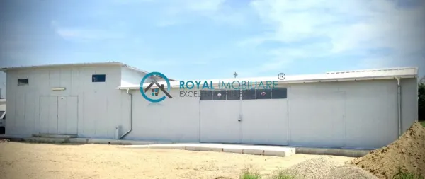 Spațiu industrial Boldesti-Scaeni - poza 3