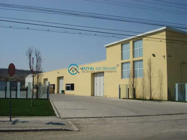 Spațiu industrial Valenii de Munte - poza 1