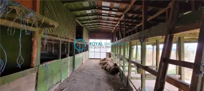 Casă 5 camere Valea Calugareasca - poza 24