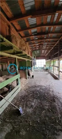 Casă 5 camere Valea Calugareasca - poza 25