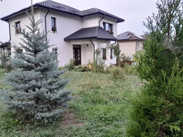 Casă 5 camere Iași - poza 7
