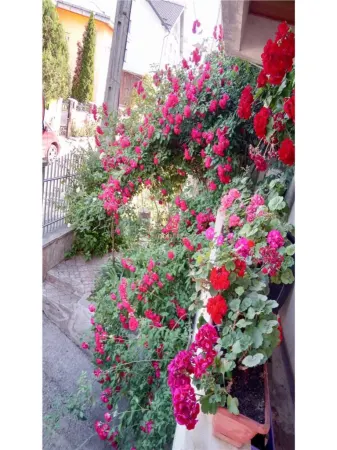 Casă 6 camere Iași - poza 11