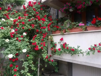 Casă 6 camere Iași - poza 7