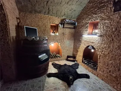 Casă 7 camere Iași - poza 23