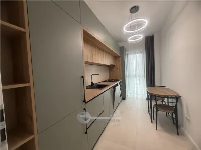 Apartament 1 camera Iași - poza 11