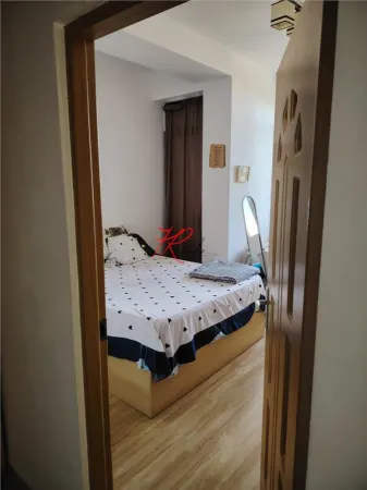 Apartament 3 camere Dobroești - poza 9