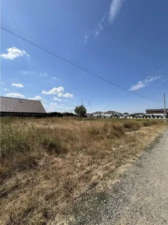 Teren Moșnița Nouă - poza 2