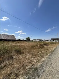 Teren Moșnița Nouă - poza 2