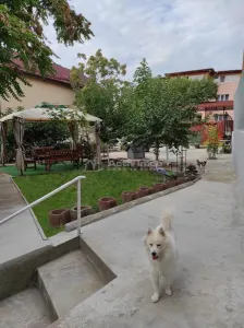 Casă 10 camere București - poza 1