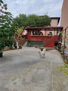 Casă 10 camere București - poza 3