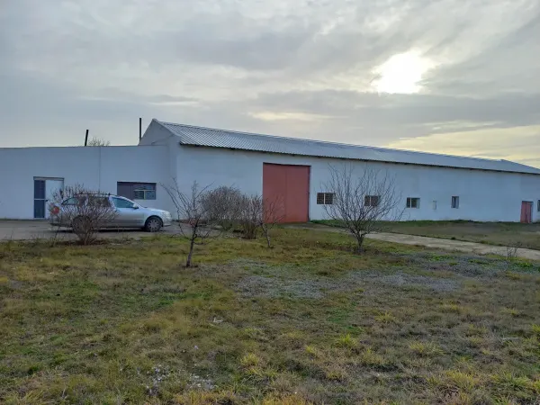 Spațiu industrial Mangalia - poza 4