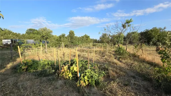 Casă 7 camere Racasdia - poza 39