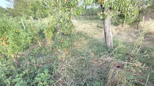 Casă 7 camere Racasdia - poza 40
