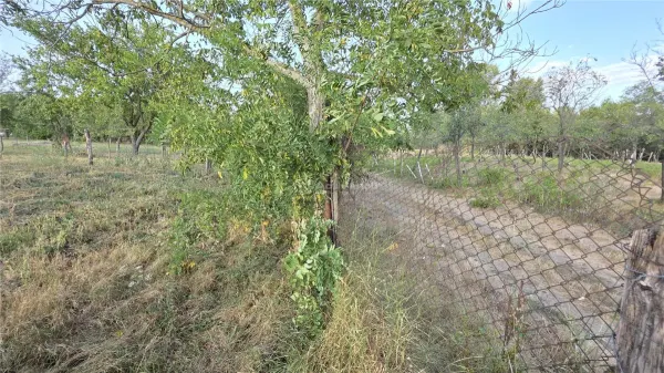 Casă 7 camere Racasdia - poza 42