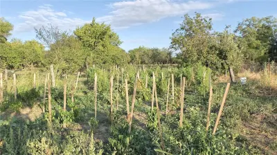 Casă 7 camere Racasdia - poza 8