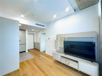 Apartament 2 camere București - poza 4